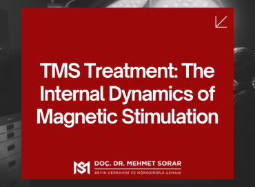 TMS Treatment: The Internal Dynamics of Magnetic Stimulation