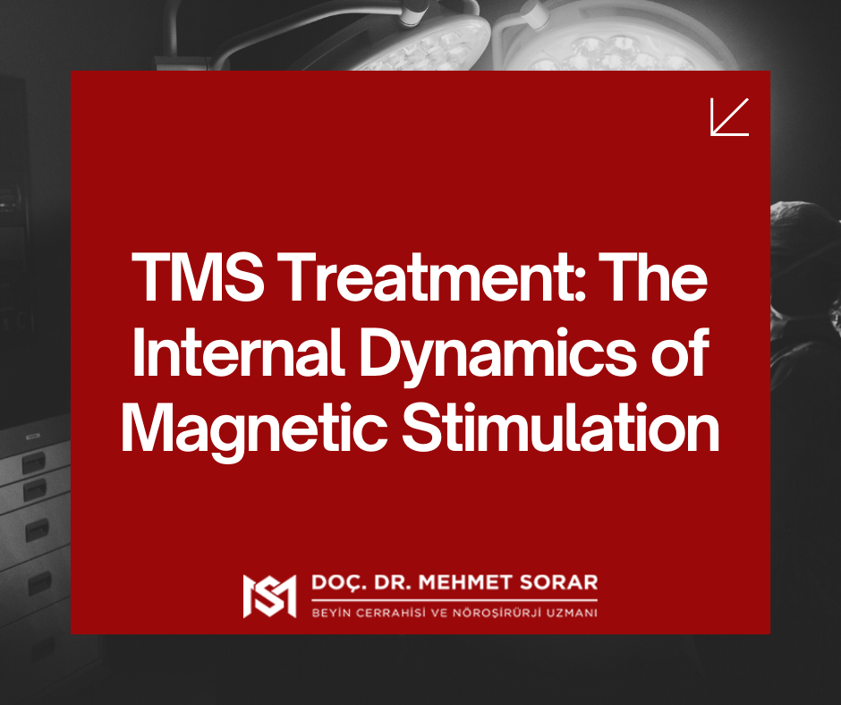 TMS Treatment: The Internal Dynamics of Magnetic Stimulation